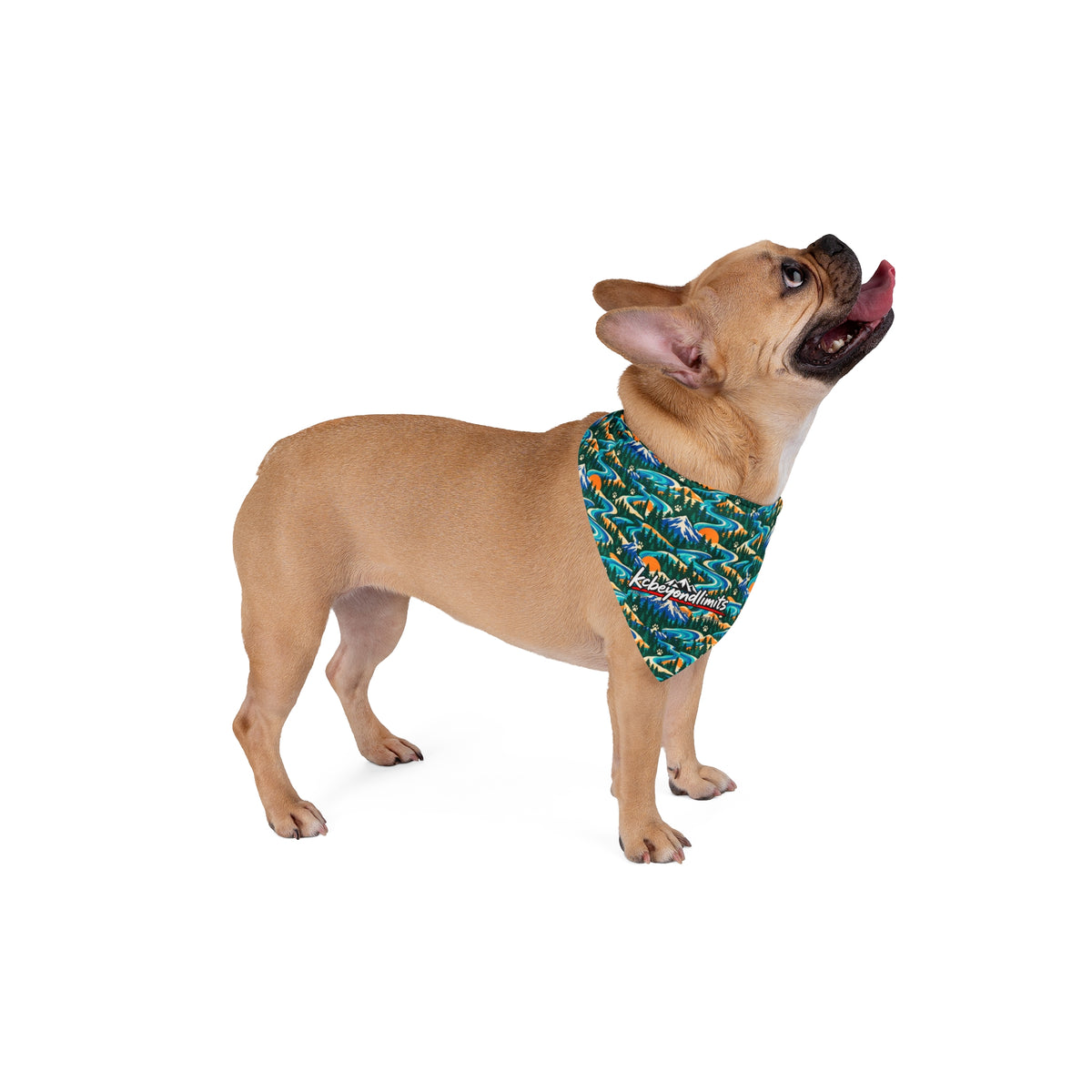PNW Adventure Dog Bandana — supplier mockup 5